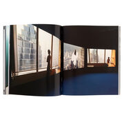 Isaac Julien exhibition book (paperback)